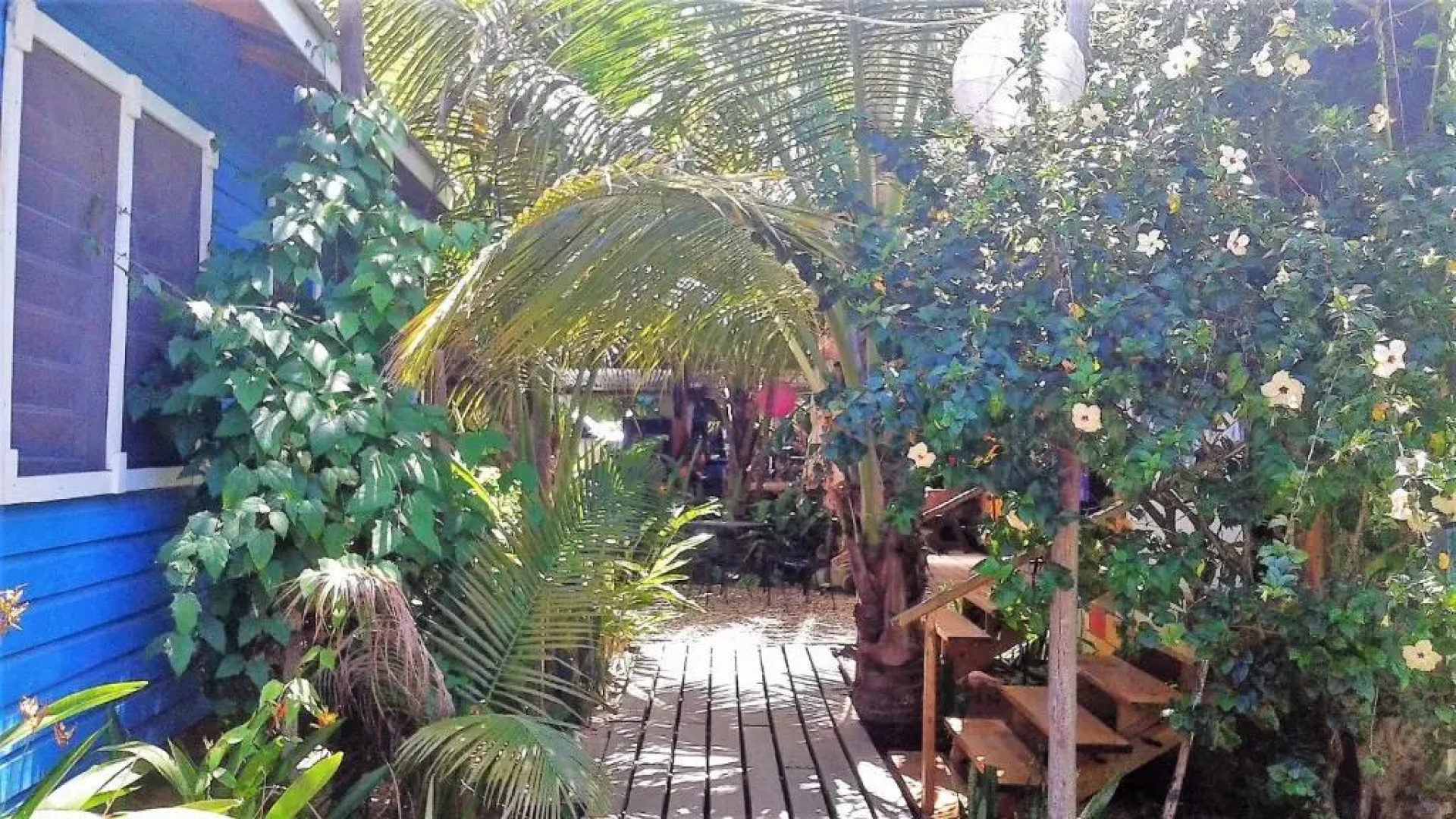 The Funky Dodo Backpackers Hostel