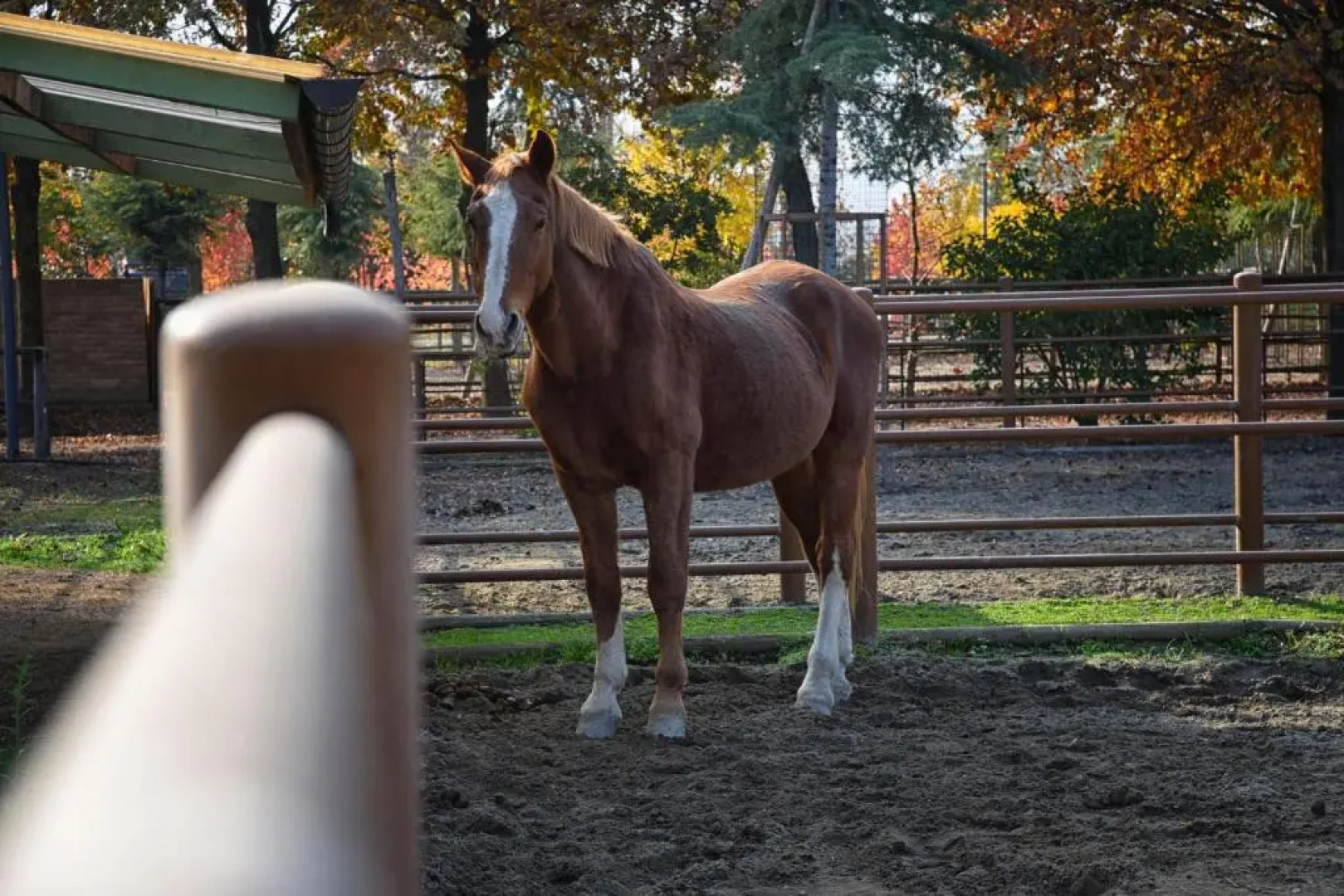 Agriturismo Corte Benetti