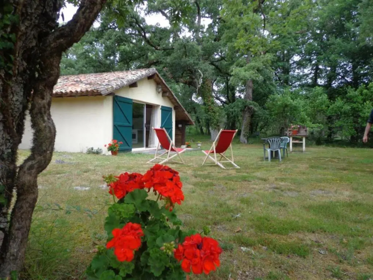 Gîte Argelouse, 2 pièces, 3 personnes - FR-1-360-12