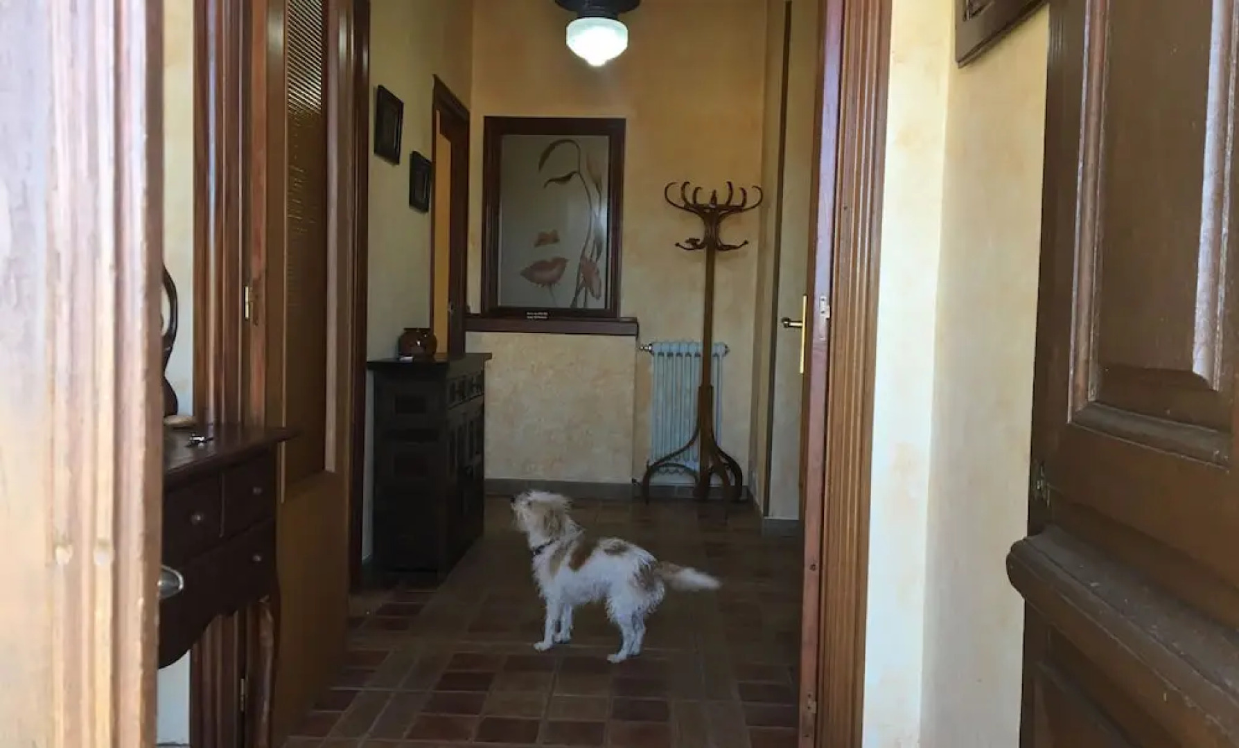 Casa Rural Tía Carmen