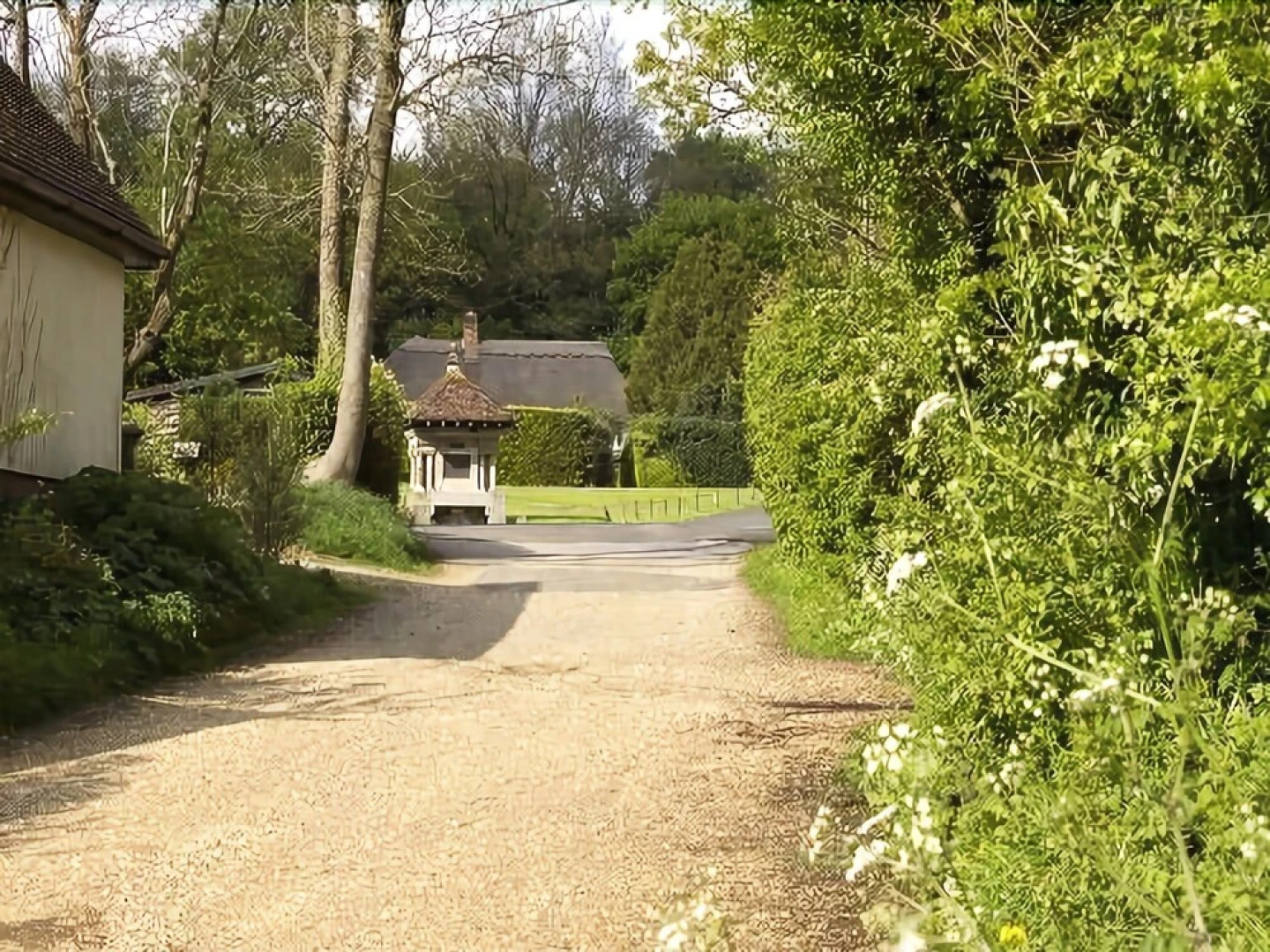 Wisteria Cottage B&B