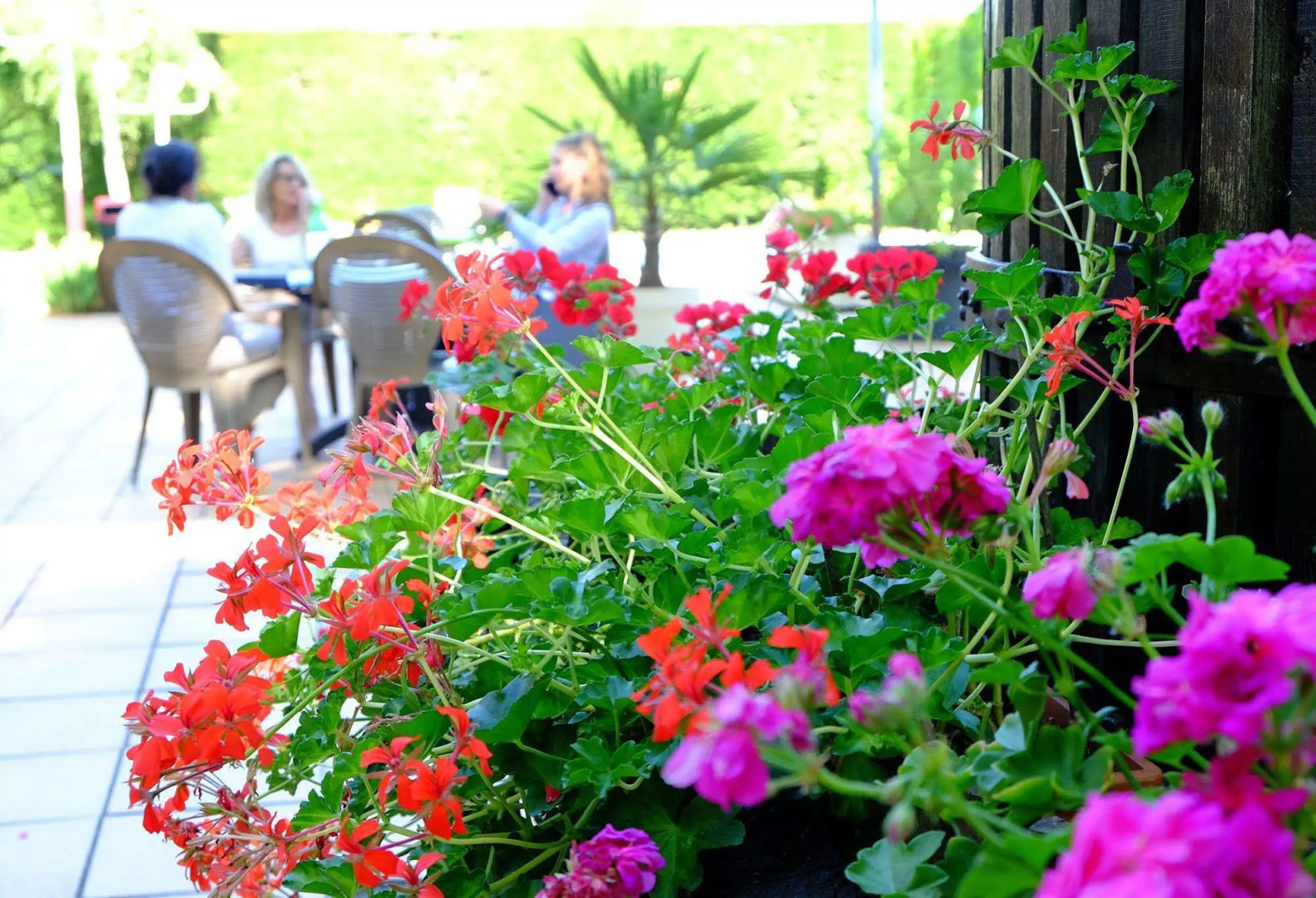 Logis Hôtel et Restaurant Ludik