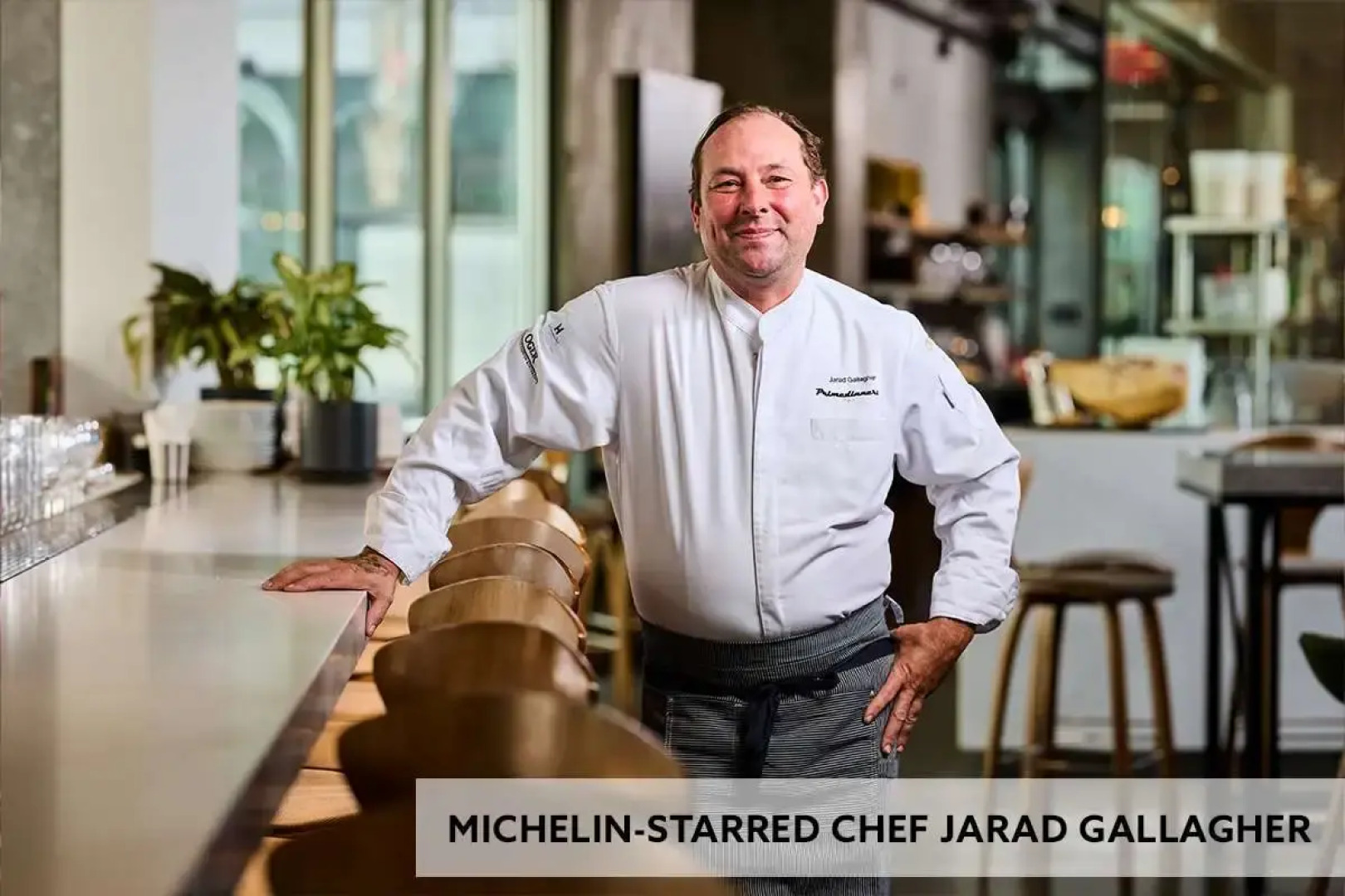 Shashi Hotel Mountain View Palo Alto