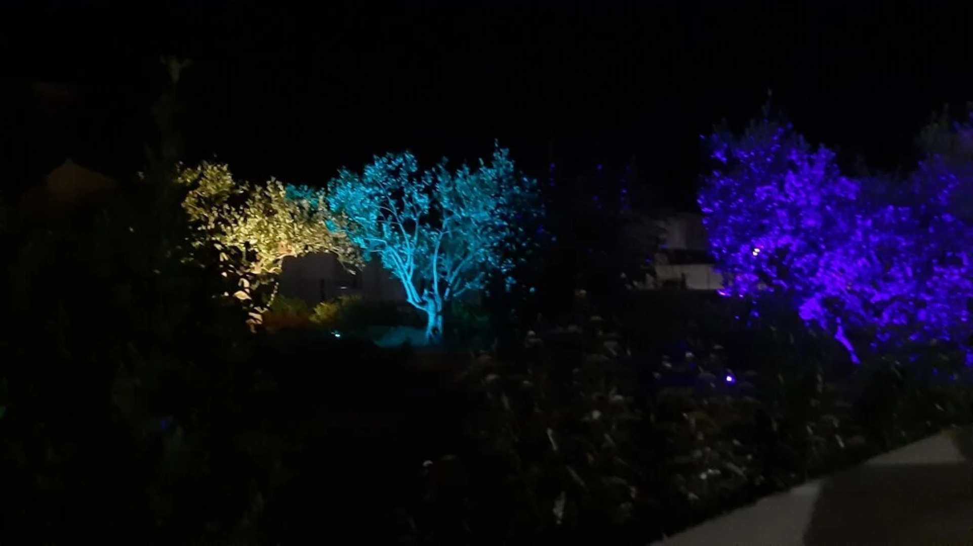 A 2 pas des vignes numéro 6