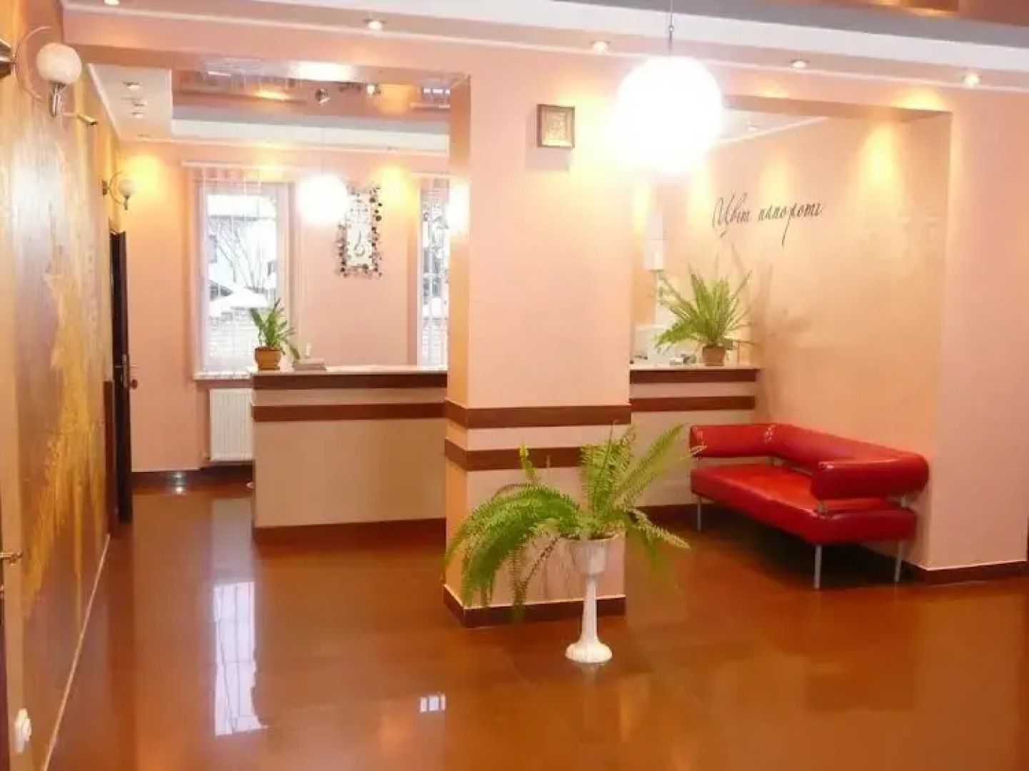 Цвит Папороти