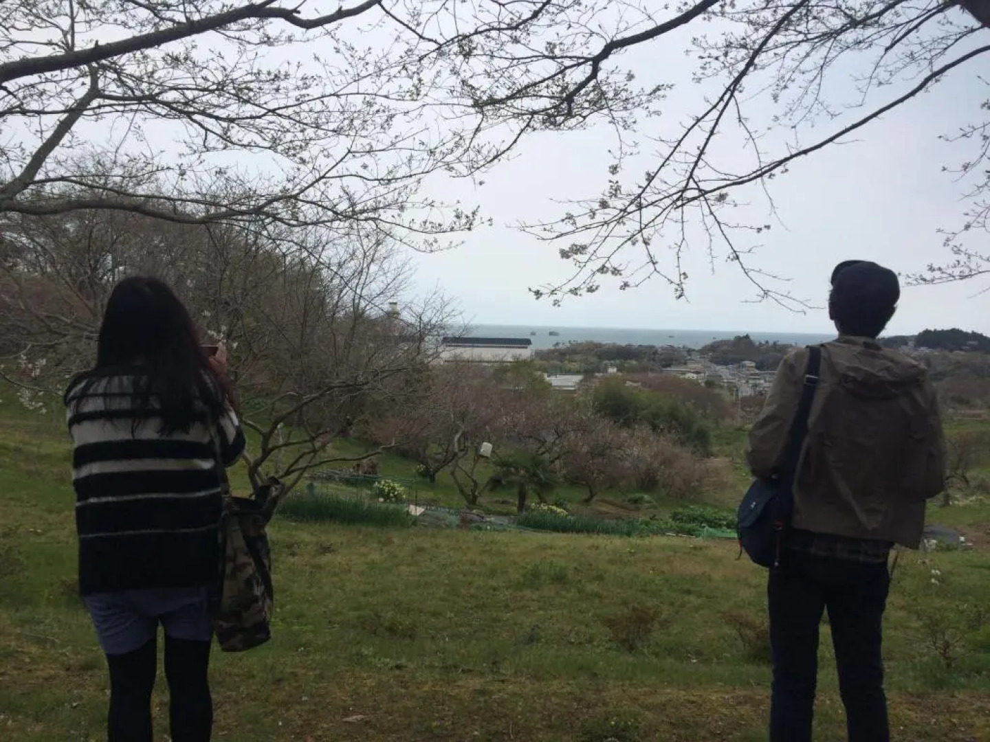 Traveler's Wharf Shichigahama