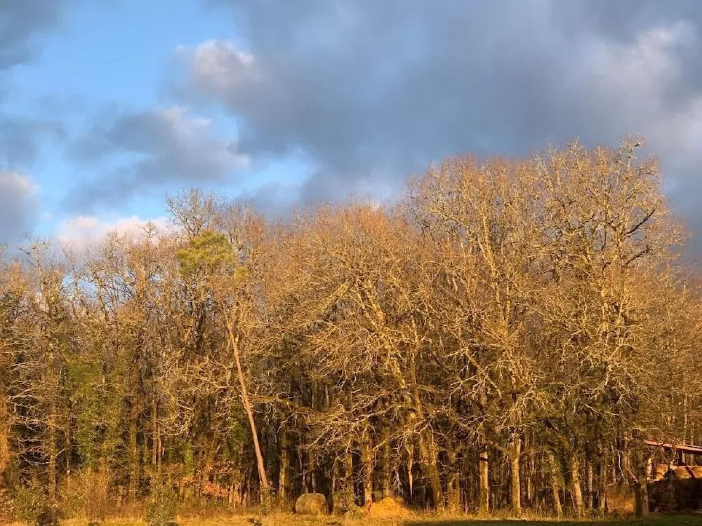 Domaine de la Chartreuse Dautré
