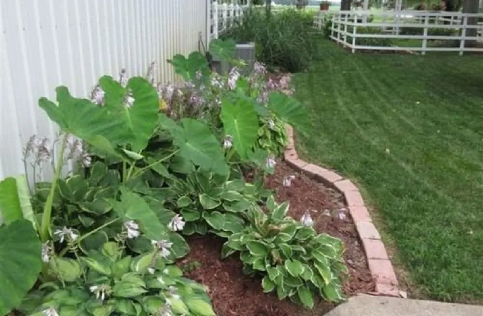 Victorian Veranda Country Inn