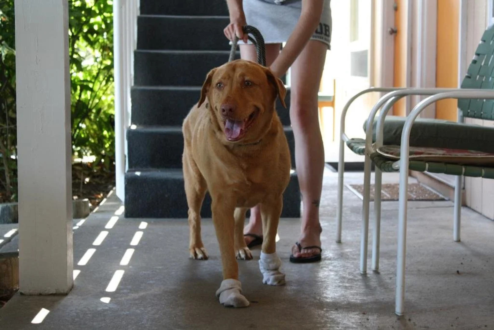 The Surf Shanty Motel