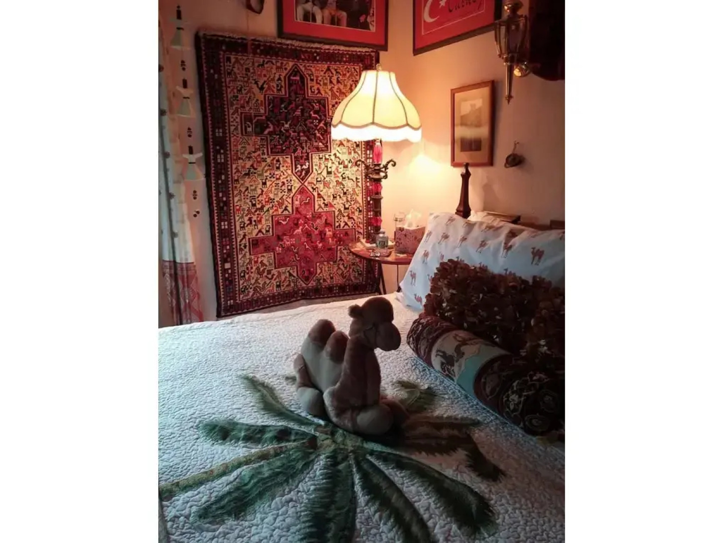 Oasis Bed and Breakfast