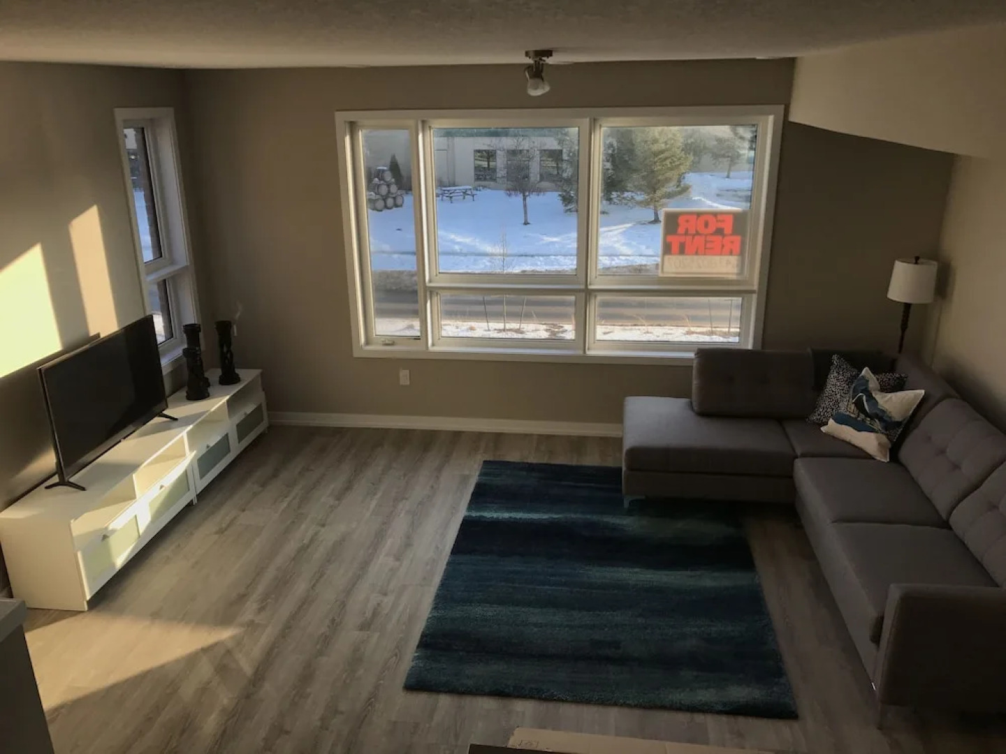 Upscale Lake View Town Home