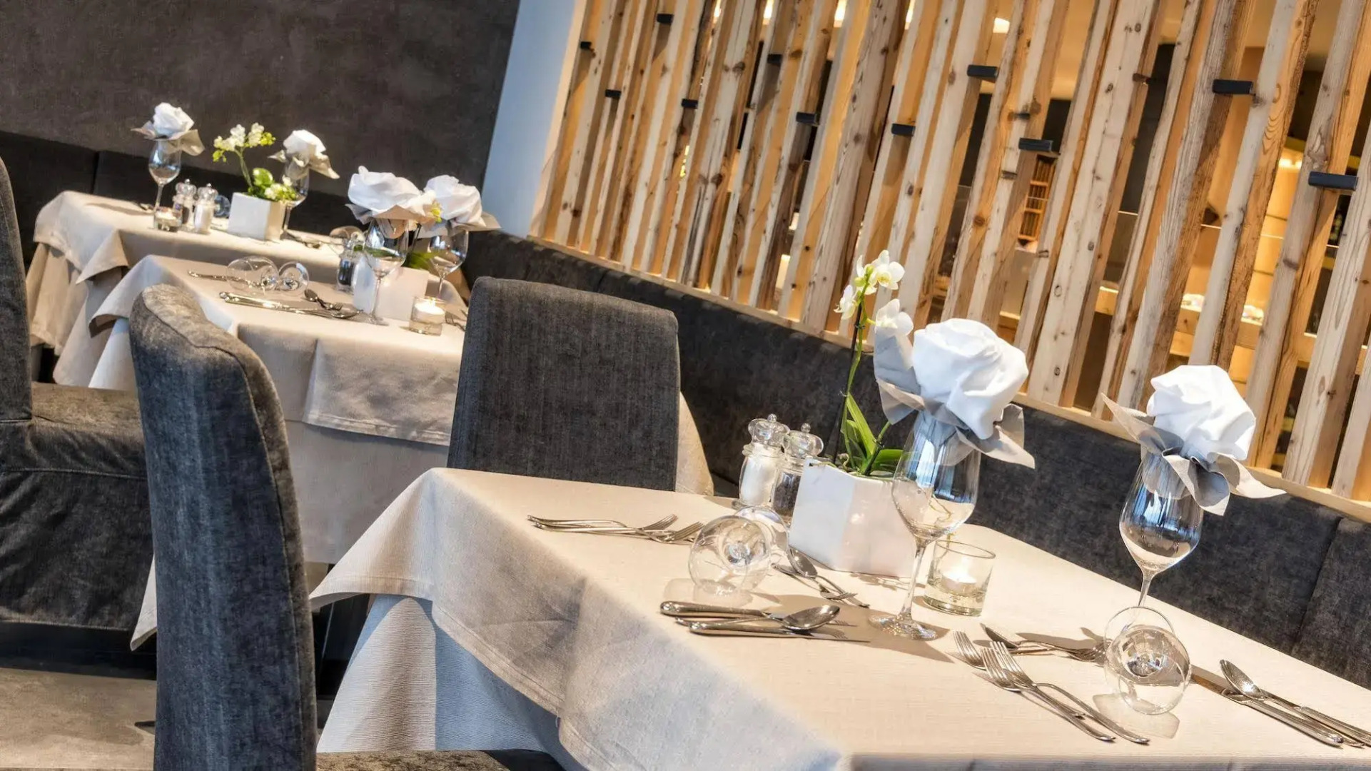 Avidea - Adults Only