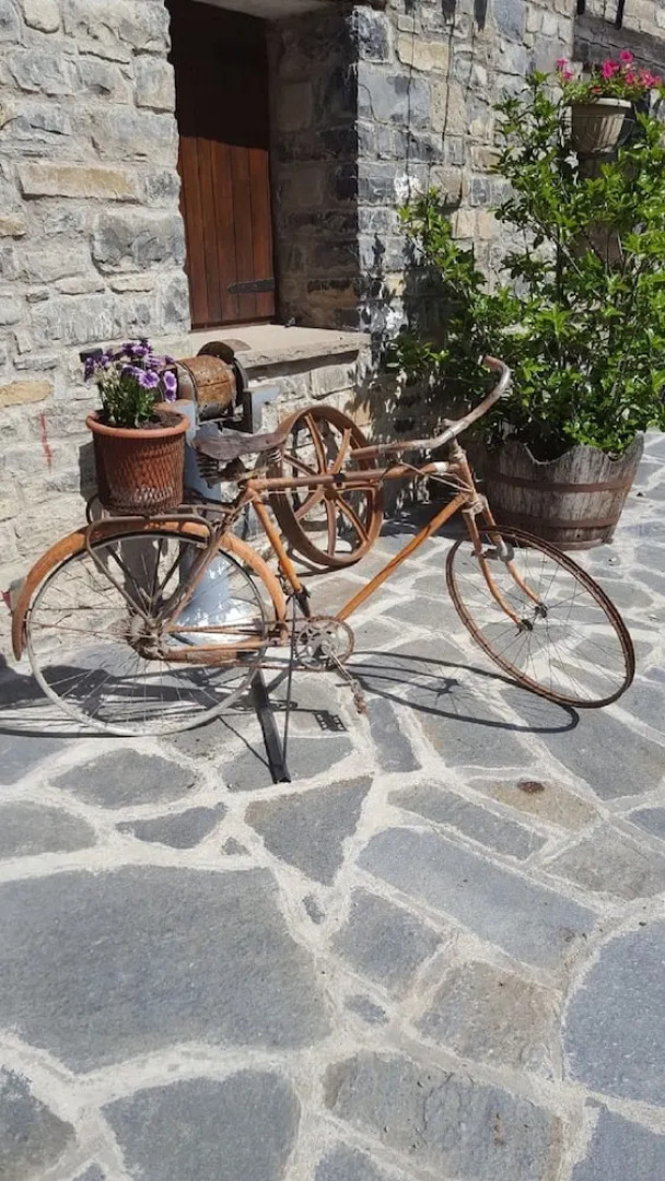 Apartamentos Cañardos