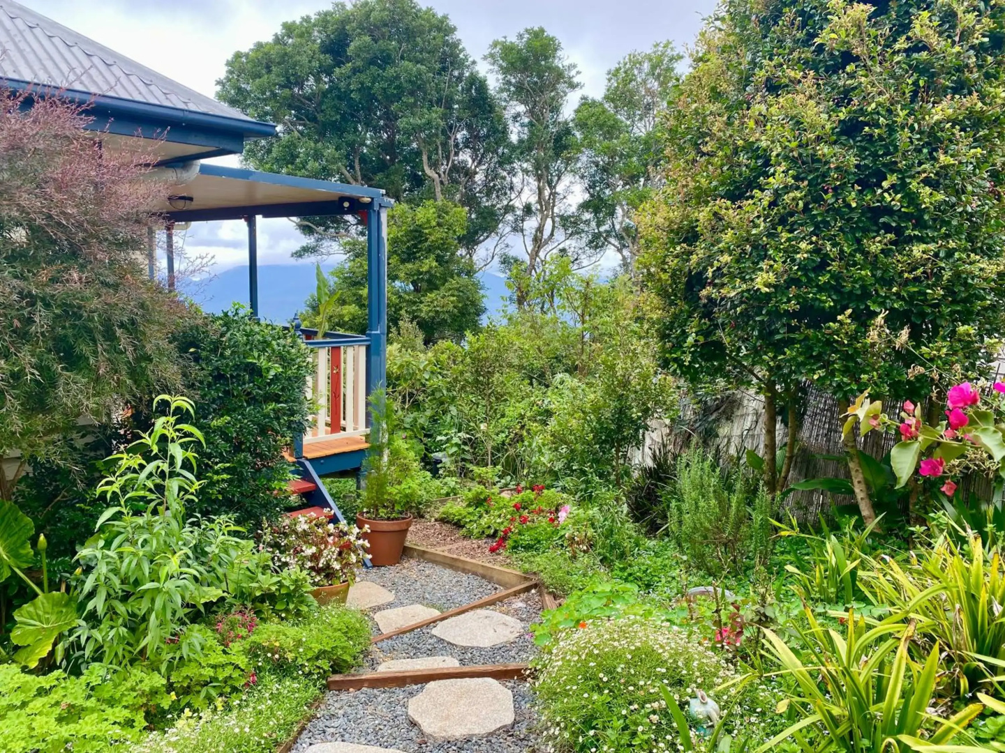 Willow Cabin