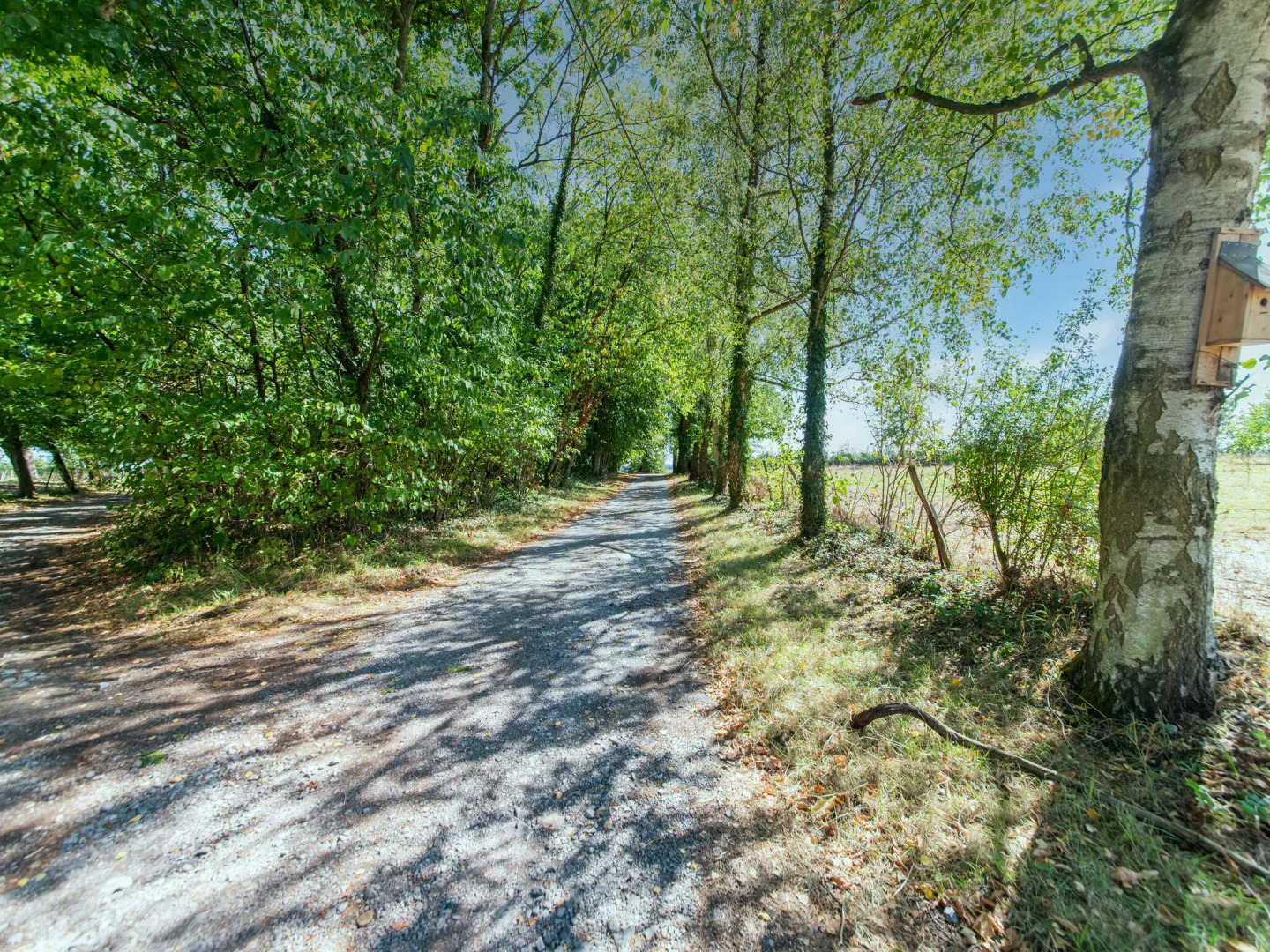 Welcoming Holiday Home in Ohey With Garden
