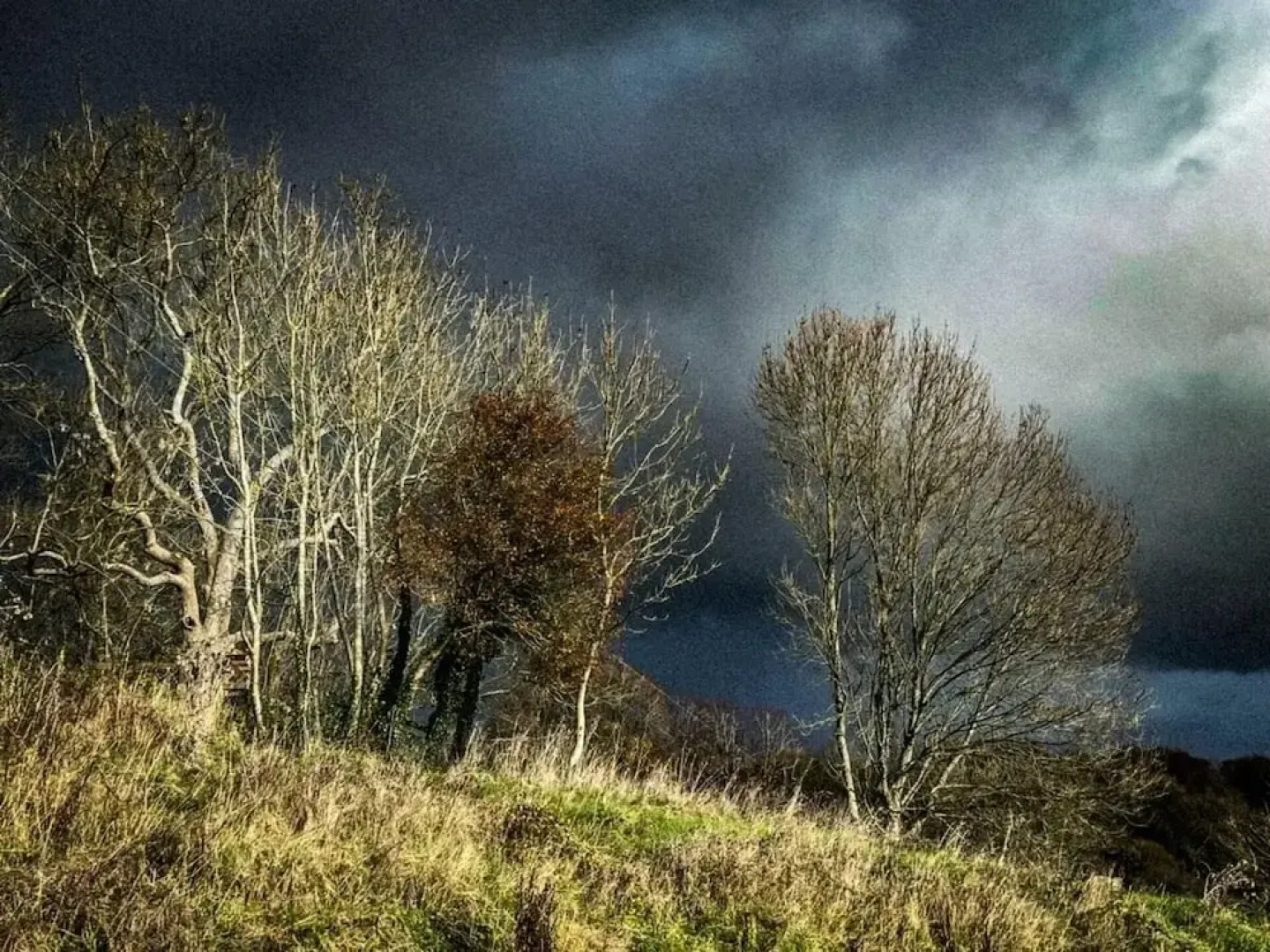 Beautiful Cottage Near Bath