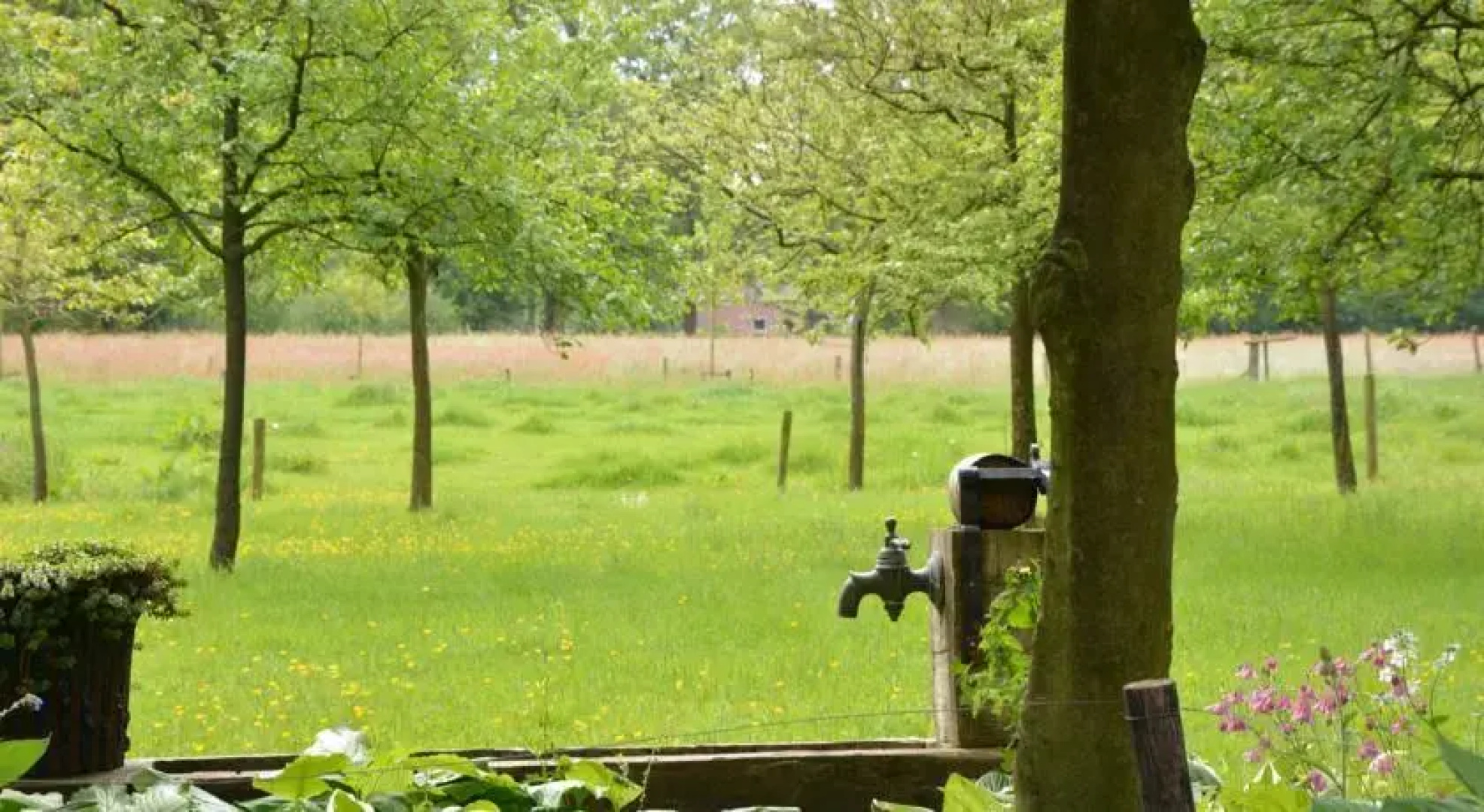 Bed & Breakfast Ameidehoeve