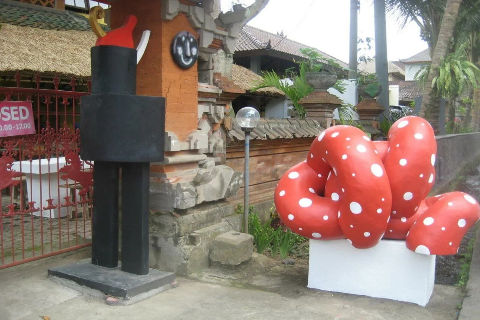 The Happy Mango Tree