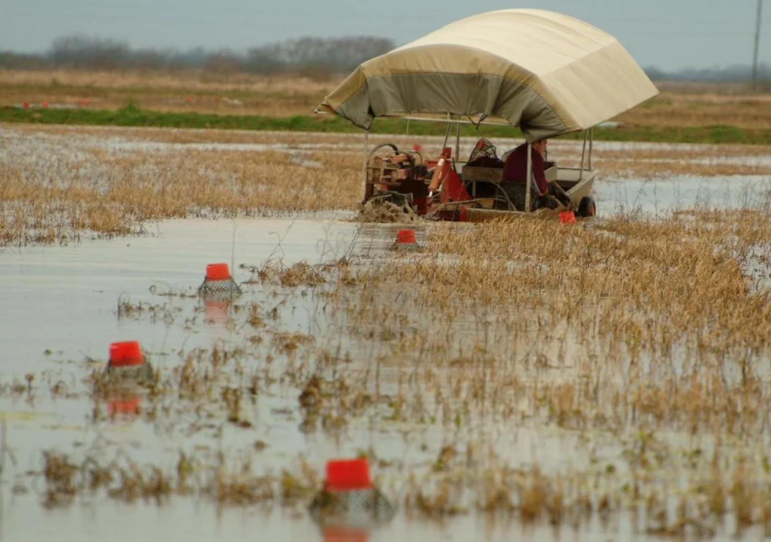 Hampton Inn & Suites Jennings