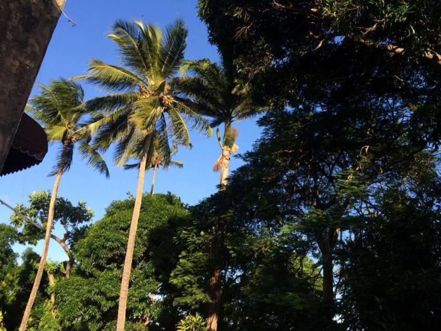 Canto dos Artistas Guest House