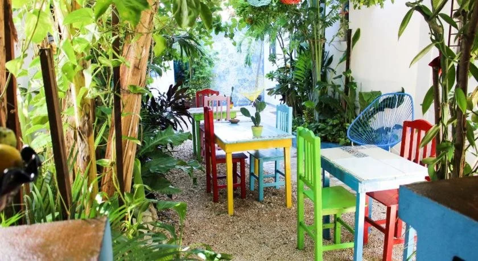 Vainilla B&B Mexico