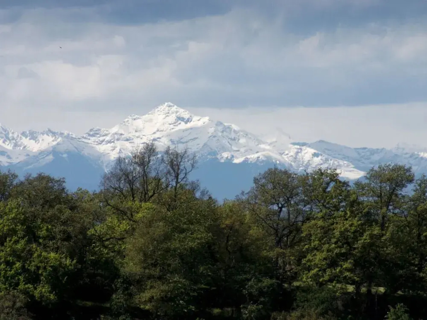 Pradia's Modern Retreat