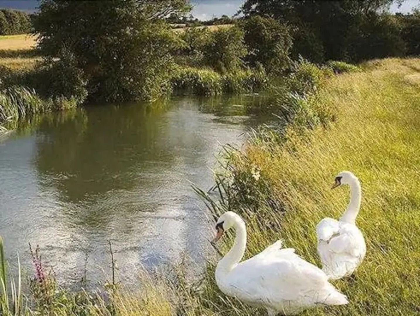 Hillside Holiday Cottages