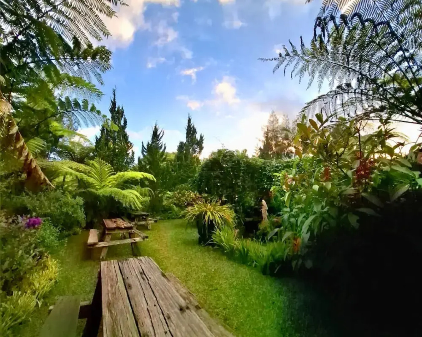 Warung Rekreasi Bedugul