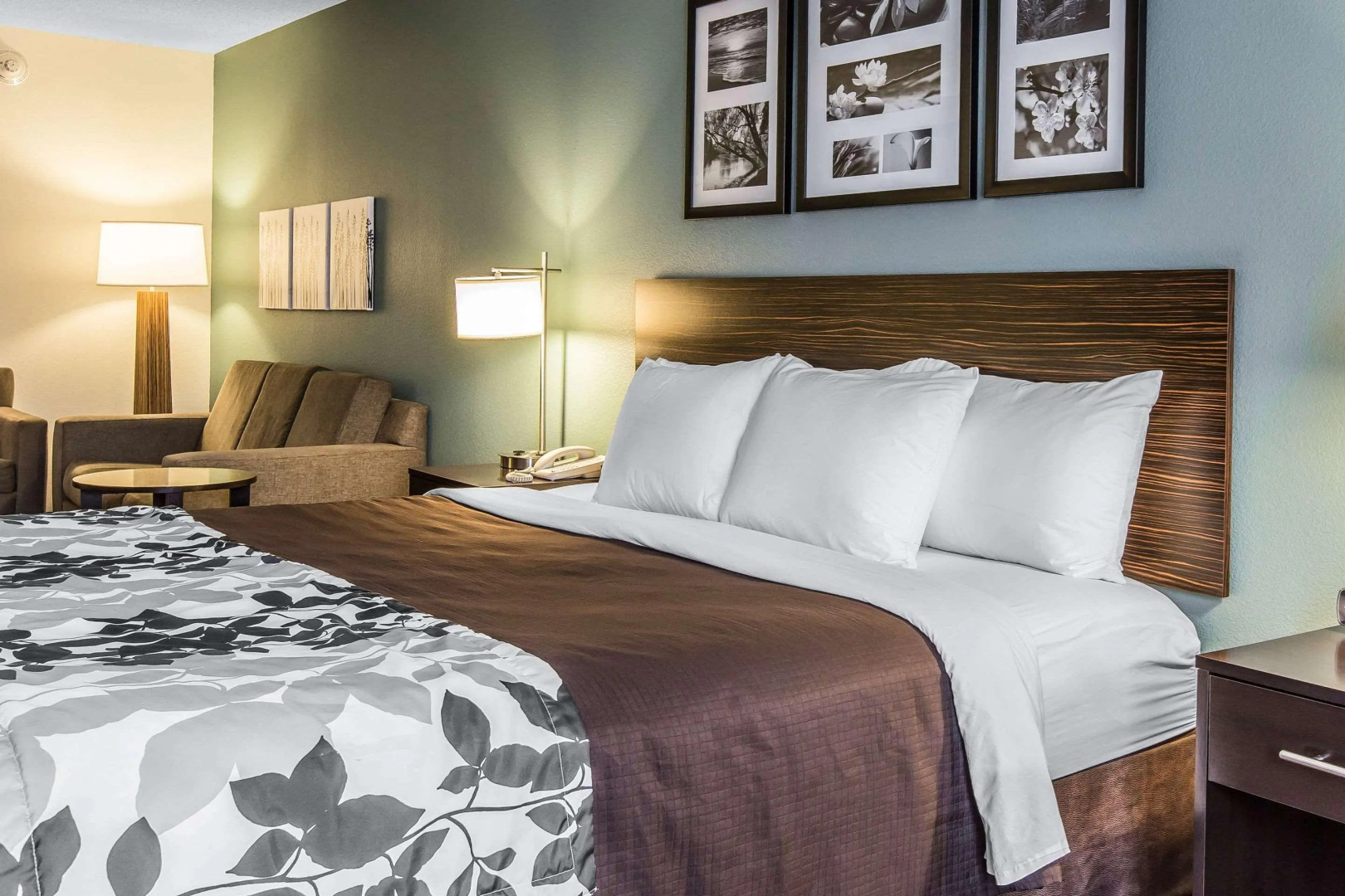 Sleep Inn & Suites