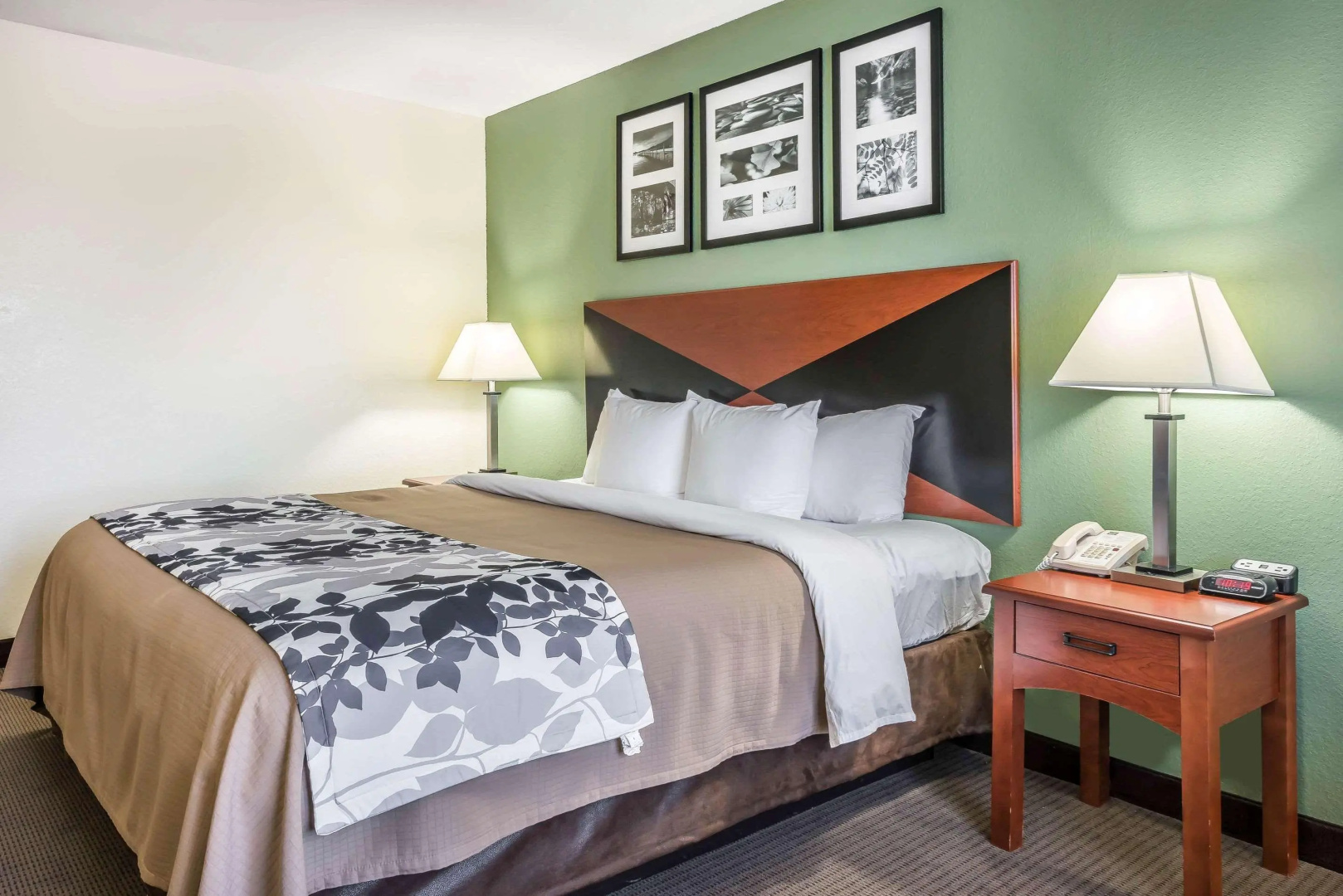 Sleep Inn & Suites University/Shands