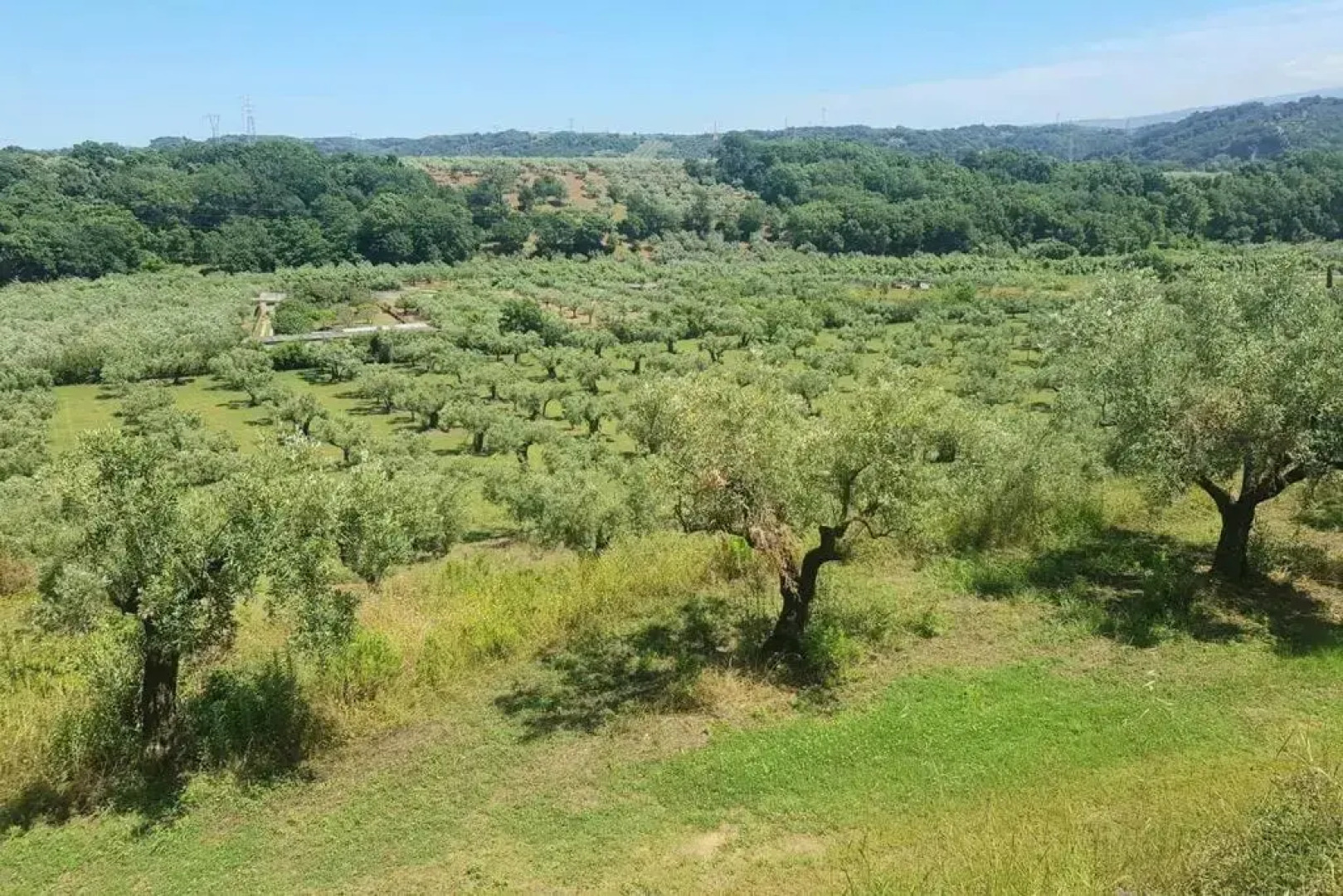 Villa in 8 Ettari di Campagna, a 20' Dal Mare