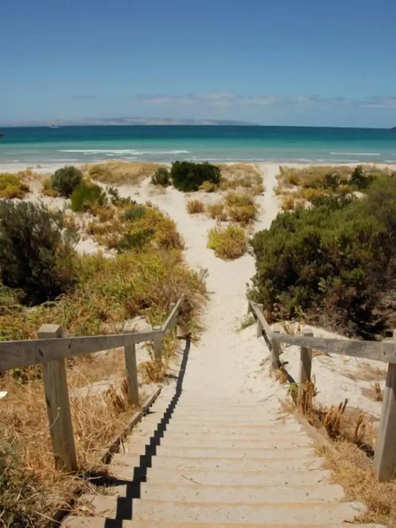 The Rookery at Christmas Cove