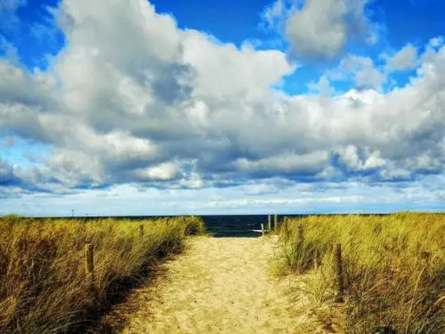 Eikkater 28 Kuestenwald Graal Muer