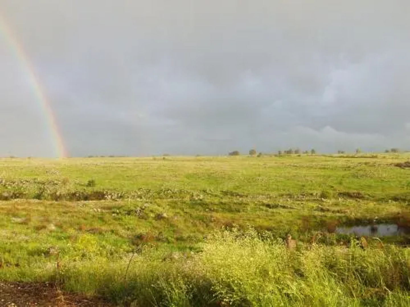 Tarnegol Haaravot Guesthouse