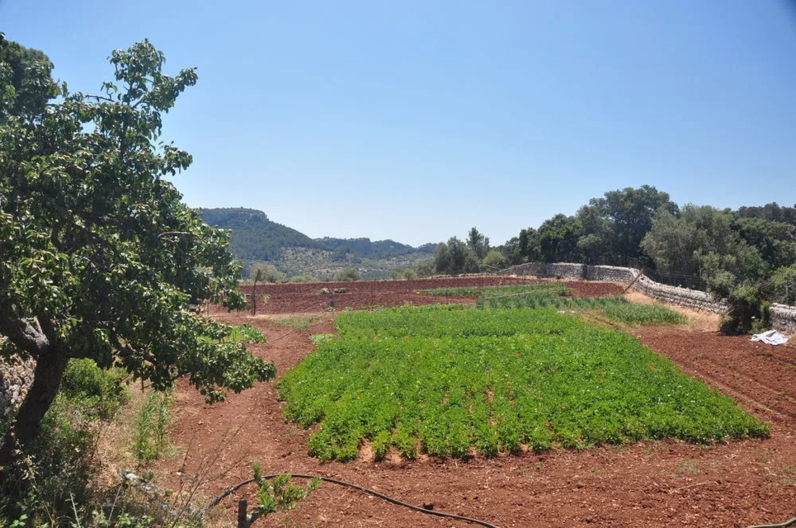 Sa Campaneta Agroturismo