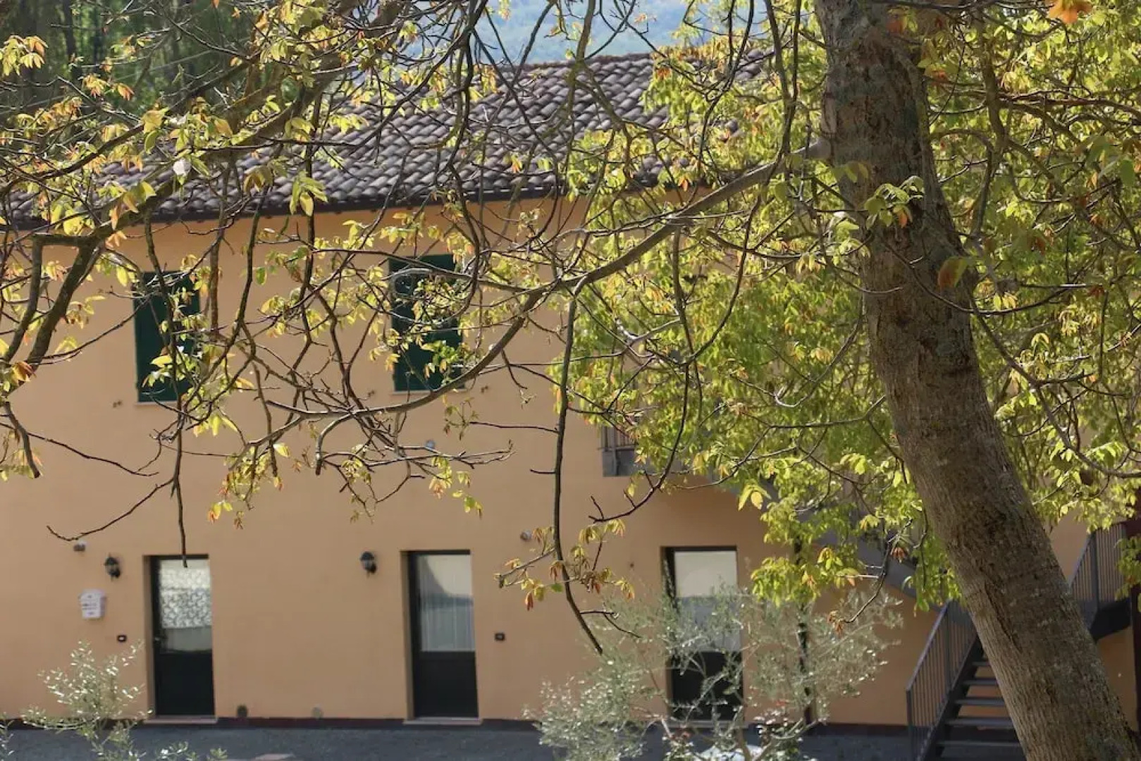 Sul sentiero di Francesco