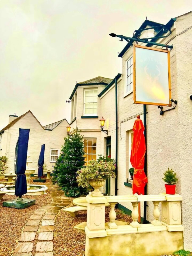 The White Stag Lodge