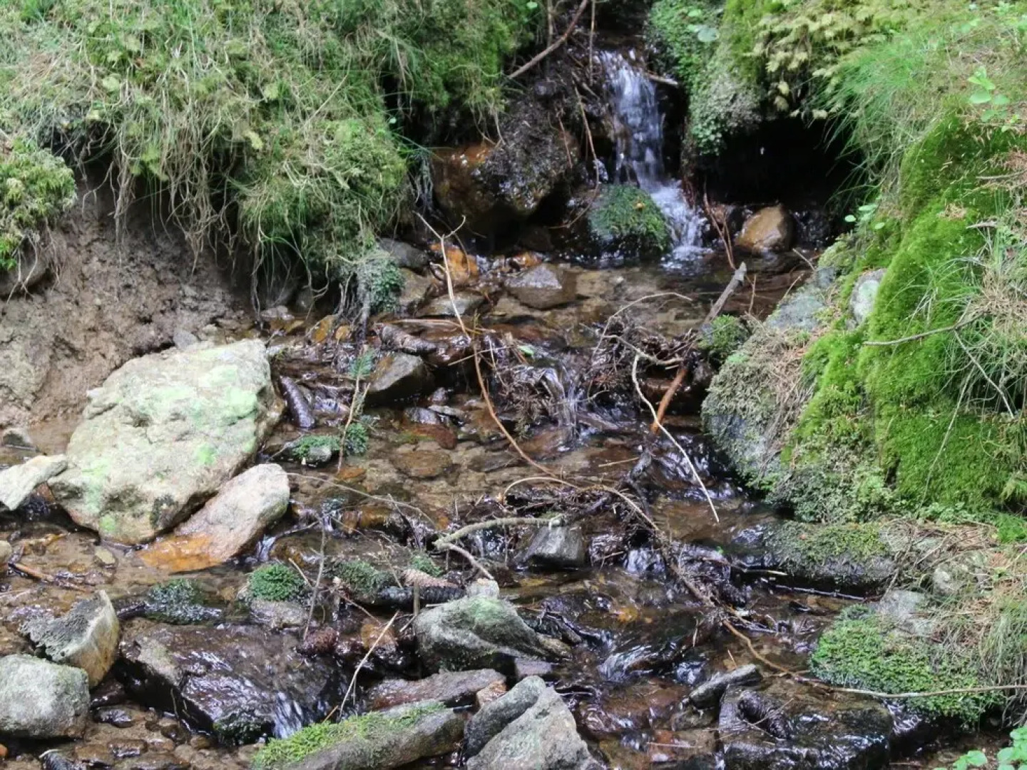Pleasant Holiday Home in Bischofsreut near Forest