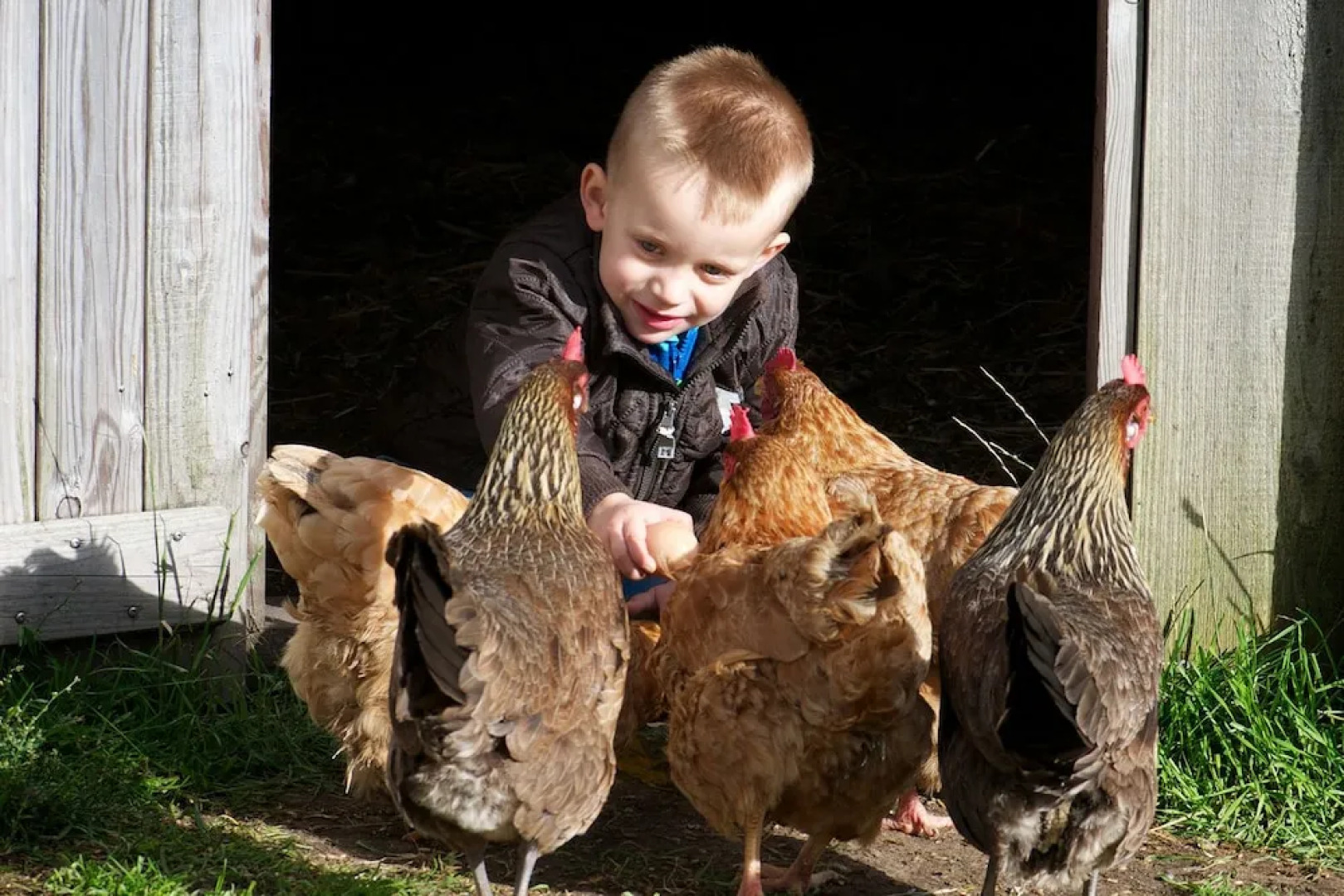 Nymarksminde Apartments & Farmpark
