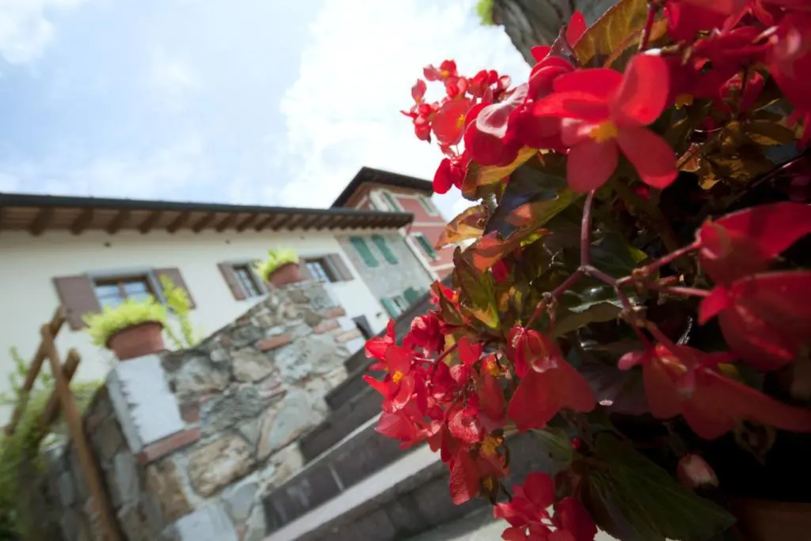 Alloggio Agrituristico CORTE SAN BIAGIO