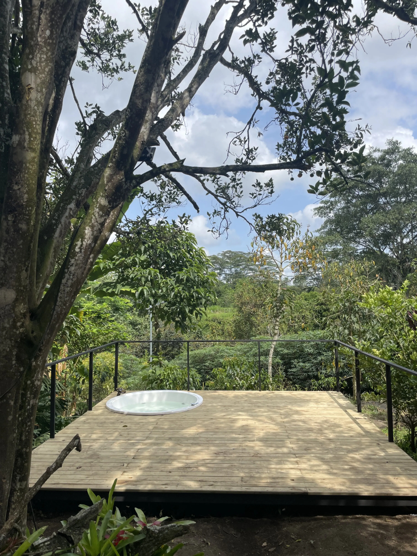 EcoHotel Alma