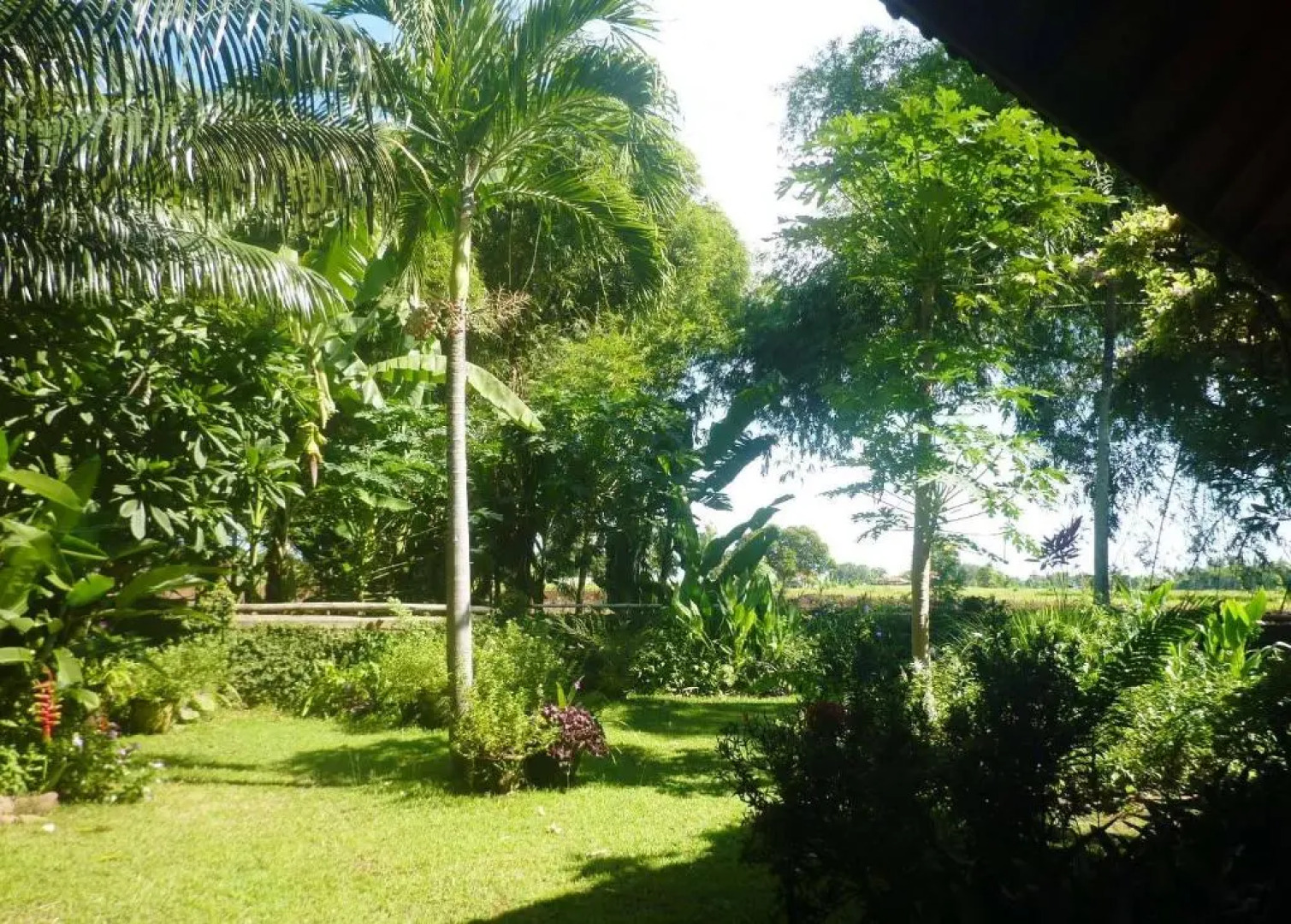 Saraswati Holiday House