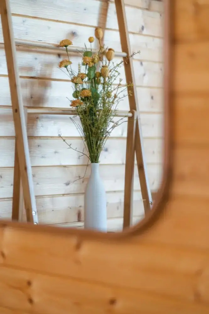 Quinta Casal da Silva 1951