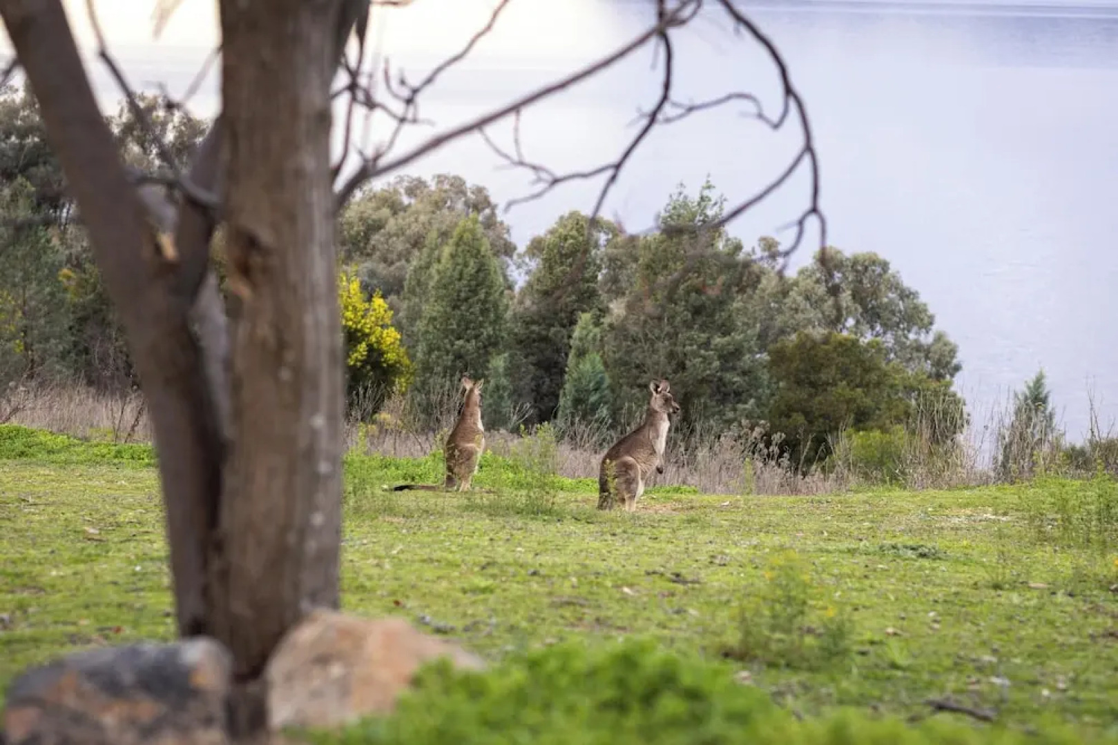 Reflections Lake Burrendong - Holiday Park