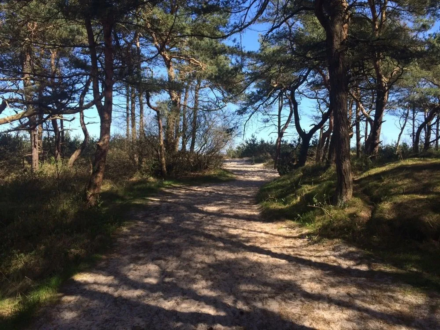 Kapitäns-Häuser Breege