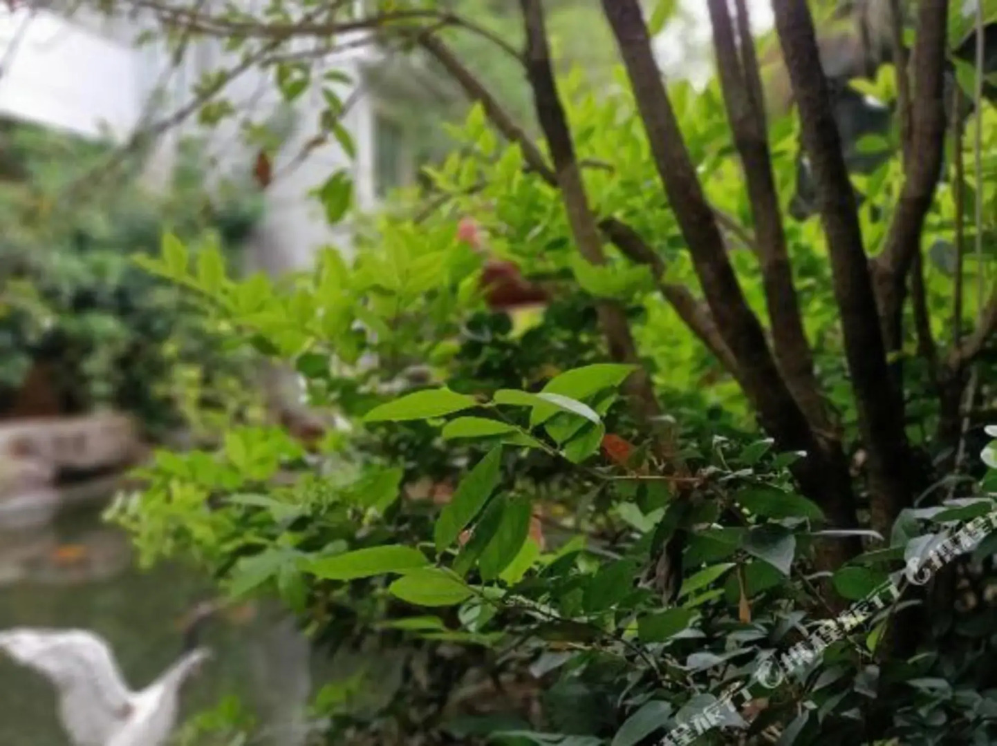 Shengyuan International Hotel