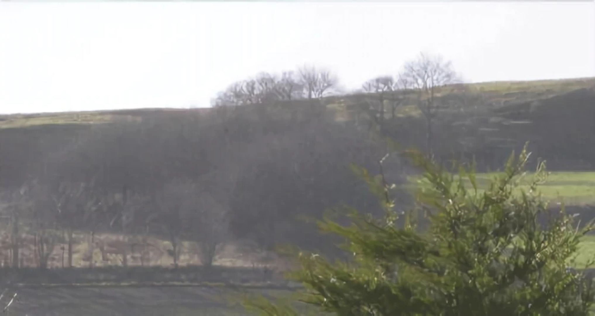 Fallady Bank Bed & Breakfast