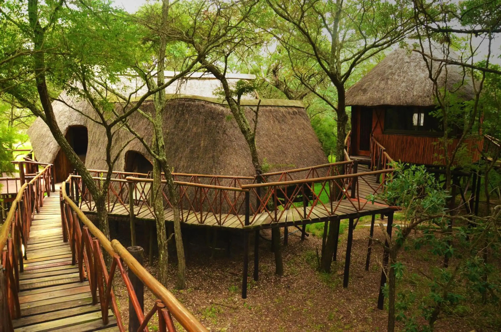 Pezulu Tree House Lodge