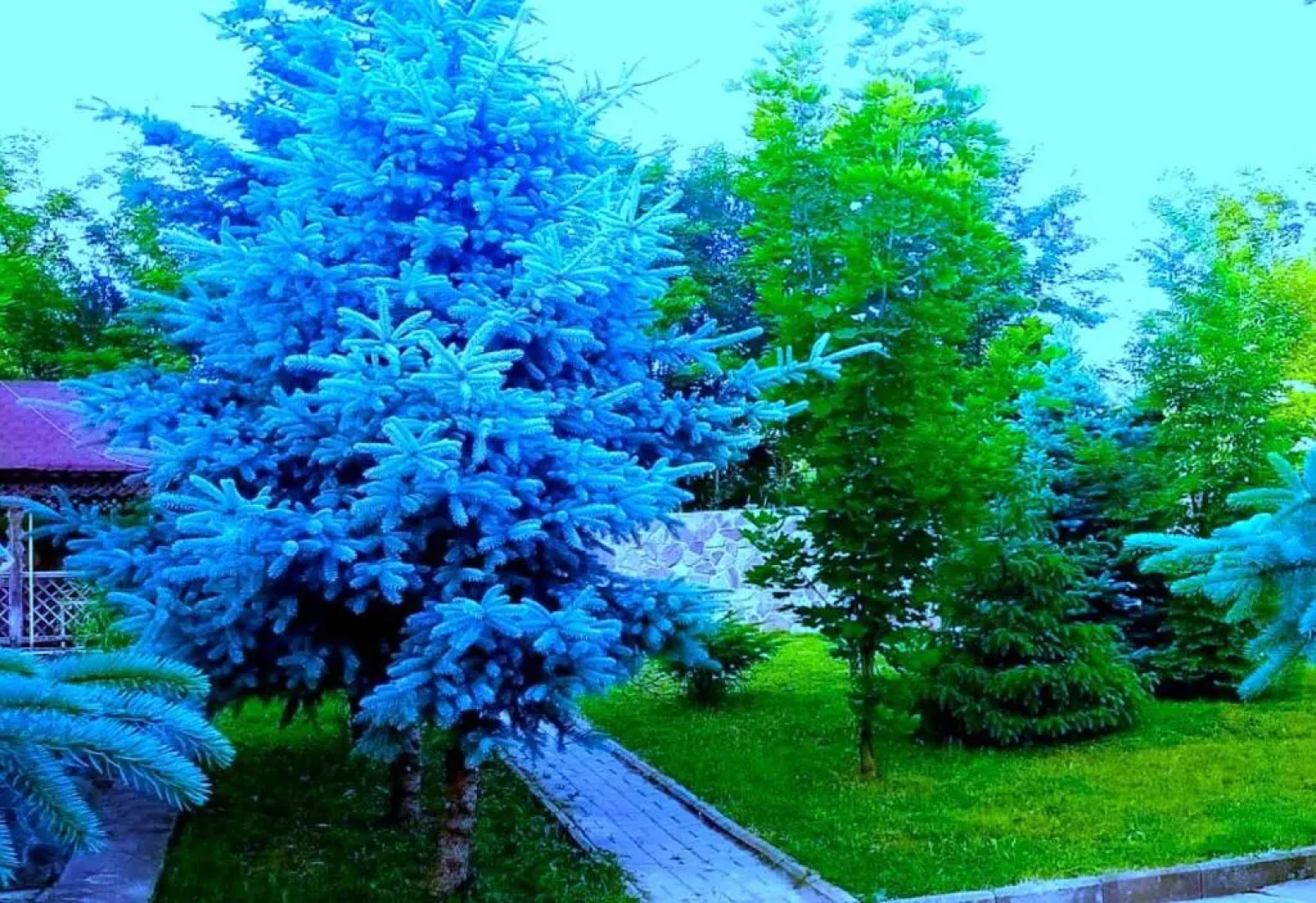 Brekner Private House