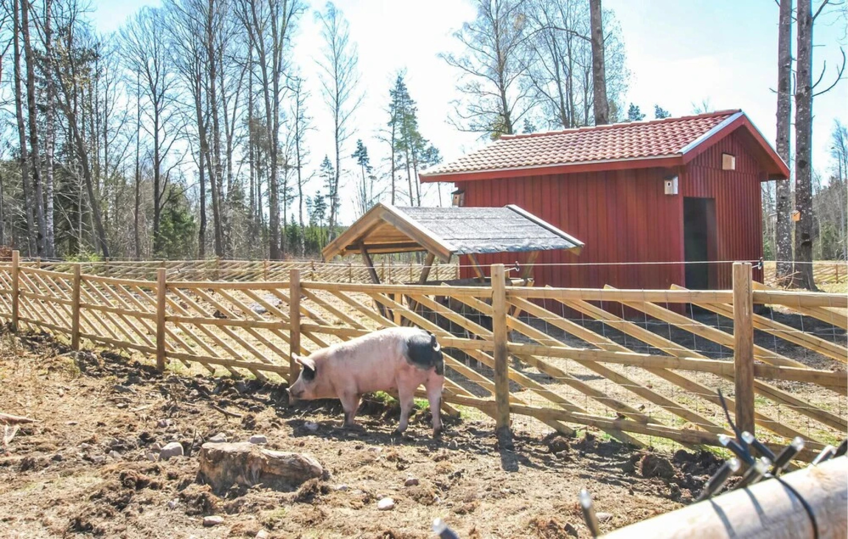 Beautiful Apartment in Kosta With 1 Bedrooms and Wifi